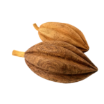 Cacau de Madeira