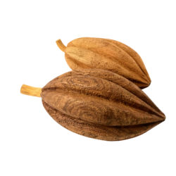 Cacau de Madeira