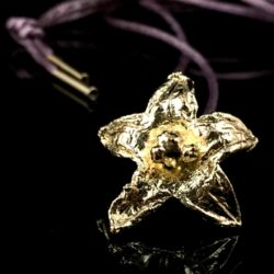 Biojoia com Flor Banhada a Ouro