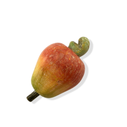 Frutas e Legumes de Madeira