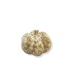 Fruta Madeira G